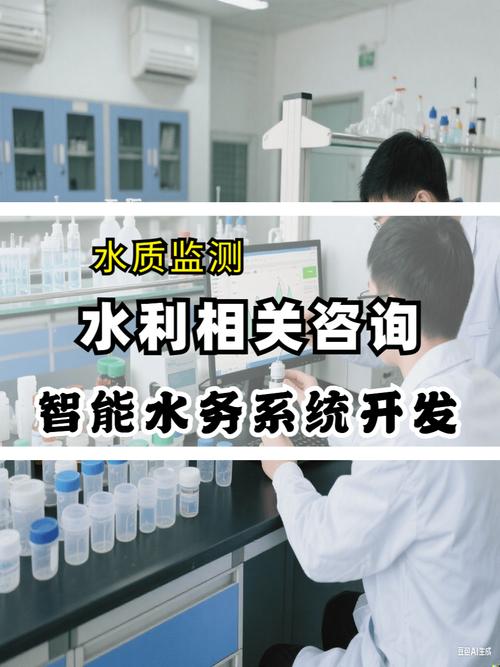引路人與橋梁 —— 技術(shù)咨詢服務(wù)在企業(yè)數(shù)字化轉(zhuǎn)型中的角色與適配方向