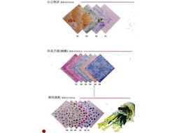 新疆貿易 古絲綢之路上的現代商業樞紐
